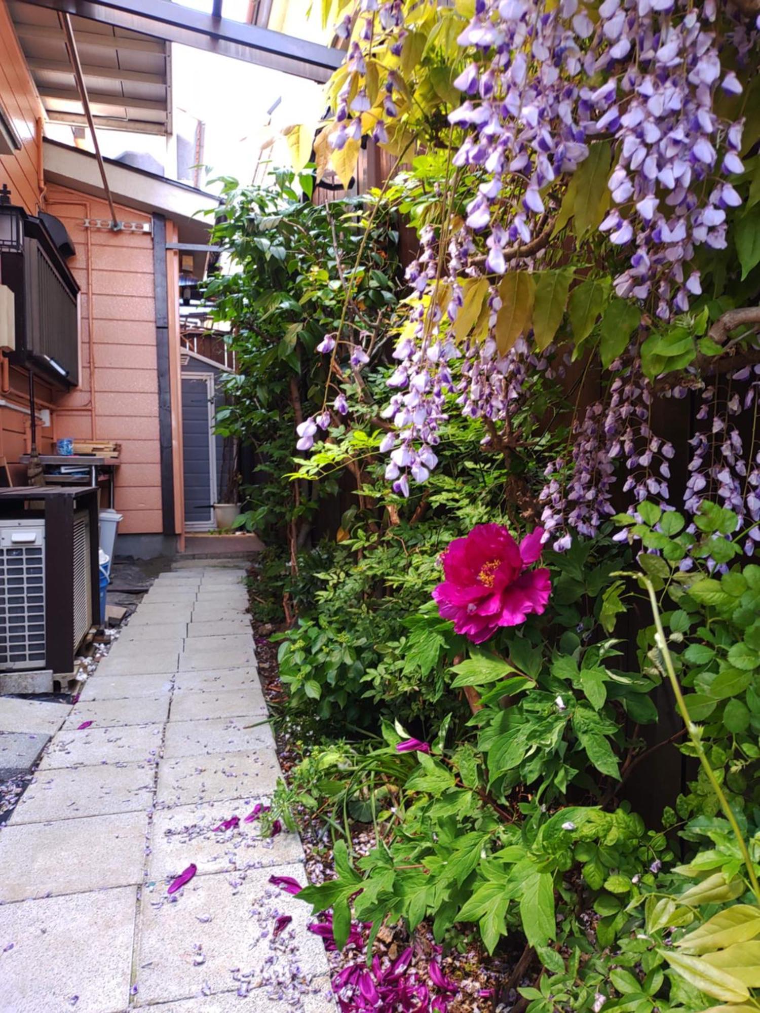 藤紫fujimurasaki Japanese Classic House Tokió Kültér fotó