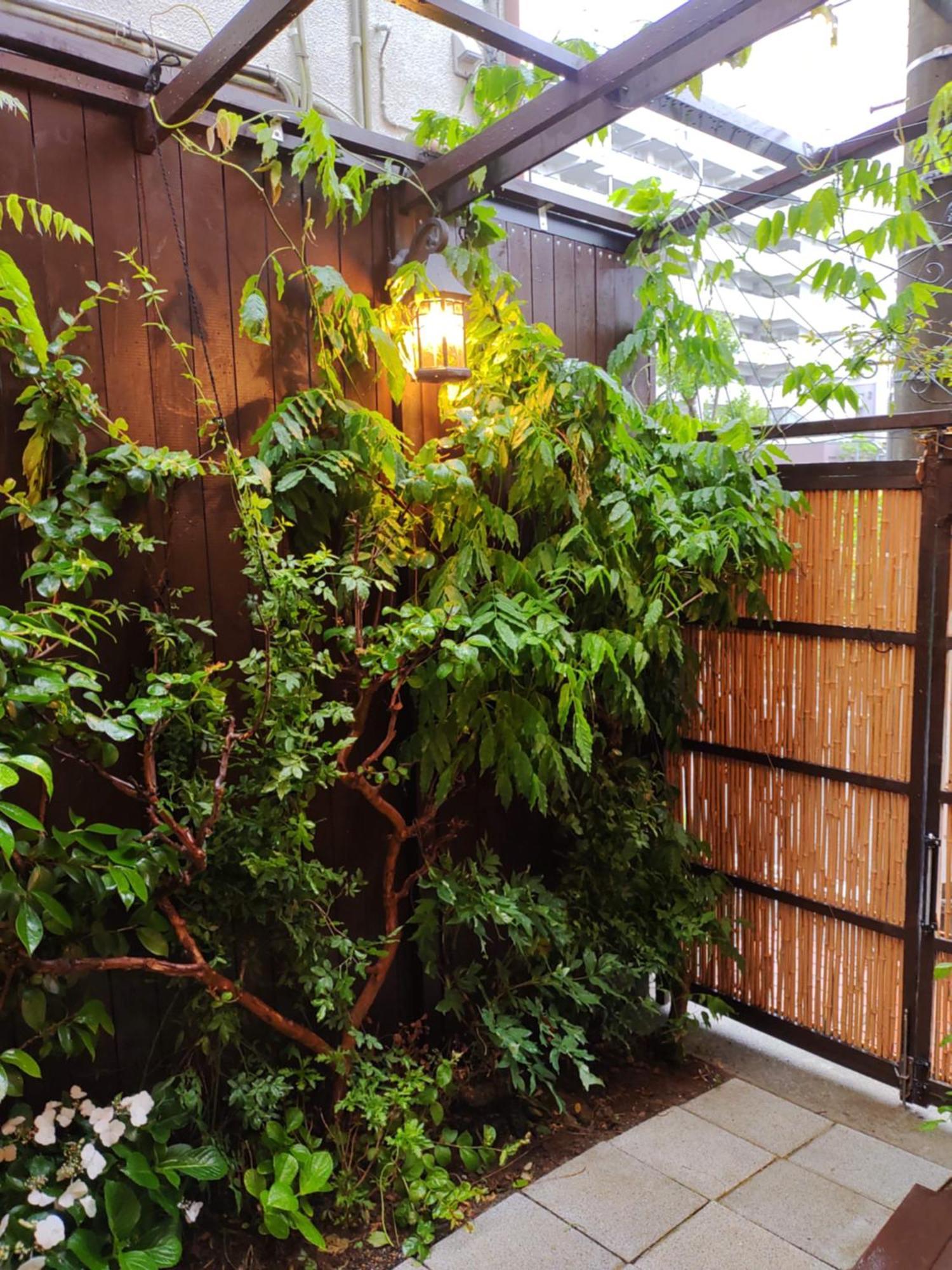 藤紫fujimurasaki Japanese Classic House Tokió Kültér fotó